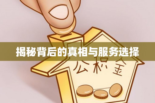 大英揭秘背后的真相与服务选择