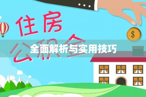 大英全面解析与实用技巧