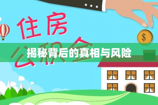 大英揭秘背后的真相与风险