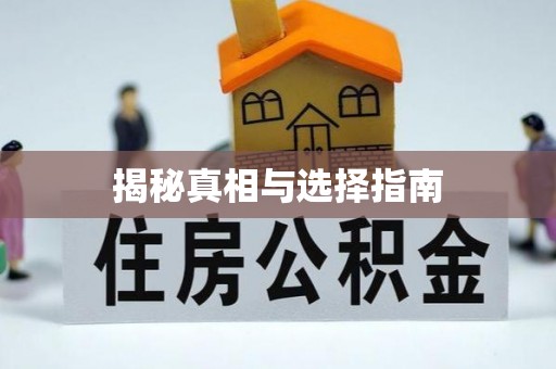 大英揭秘真相与选择指南