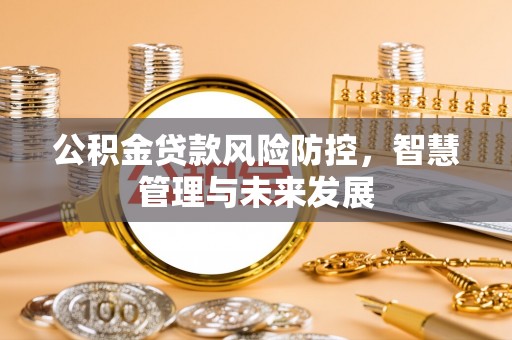大英公积金贷款风险防控，智慧管理与未来发展