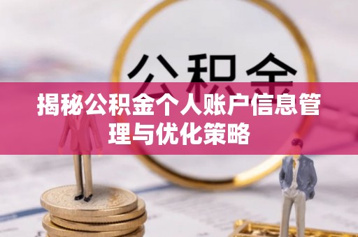 大英揭秘公积金个人账户信息管理与优化策略