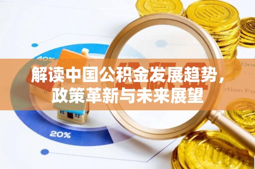 大英解读中国公积金发展趋势，政策革新与未来展望